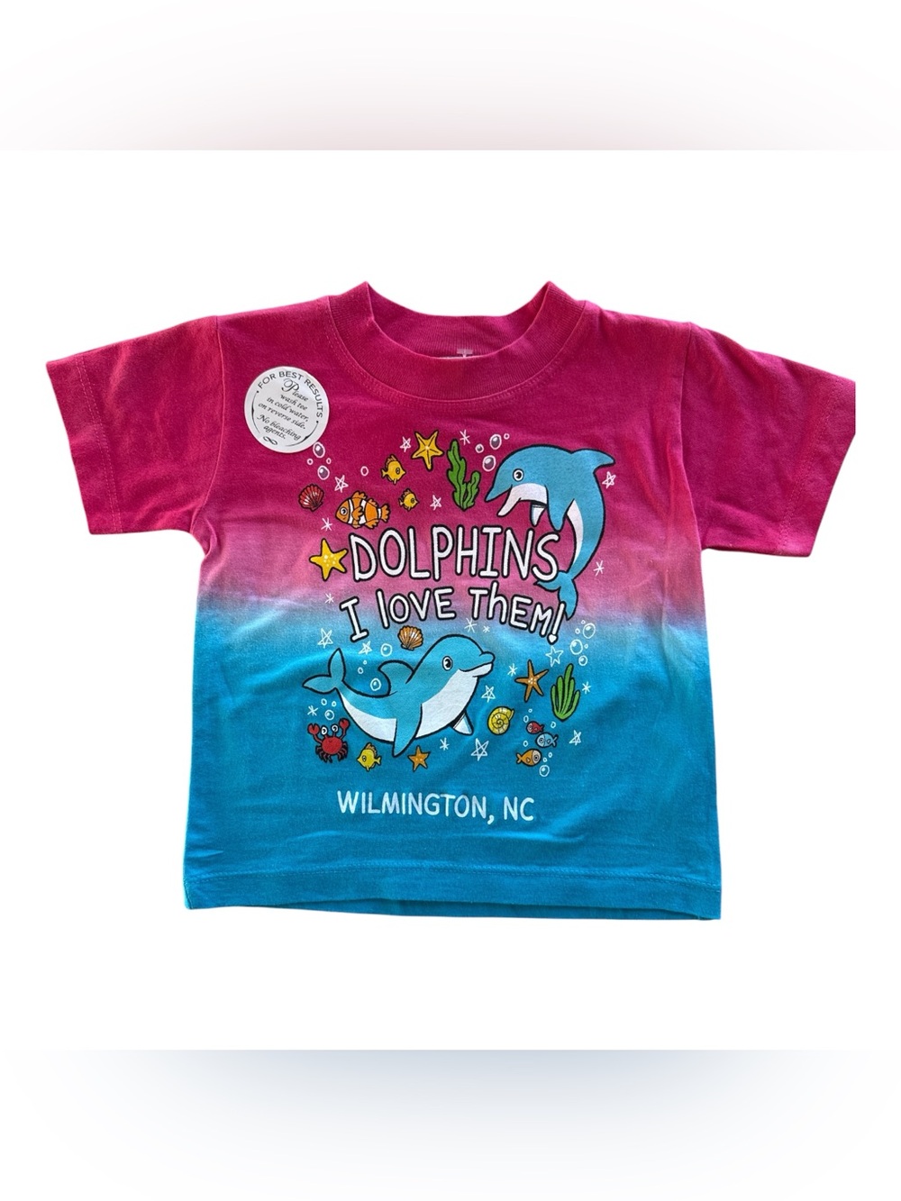 Kids ‘Dolphins I Love Them!’ Ombre Souvenir Graphic Tee - Sea Animals